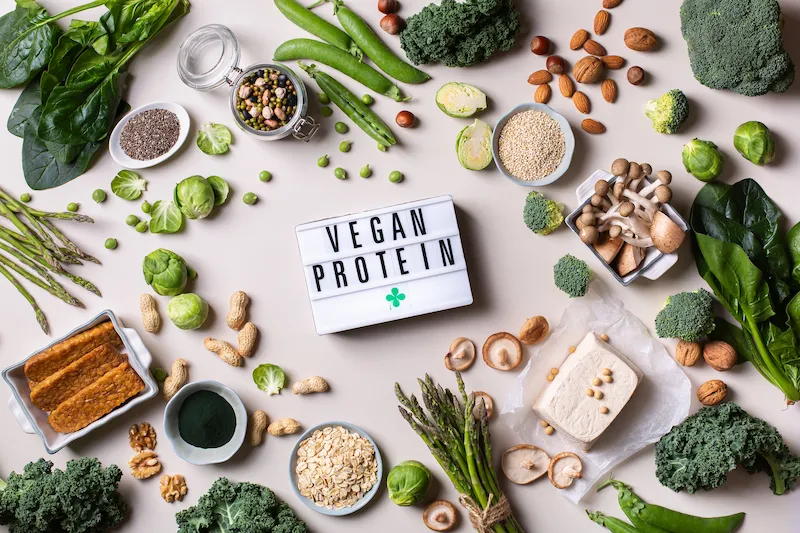 Protein Nabati