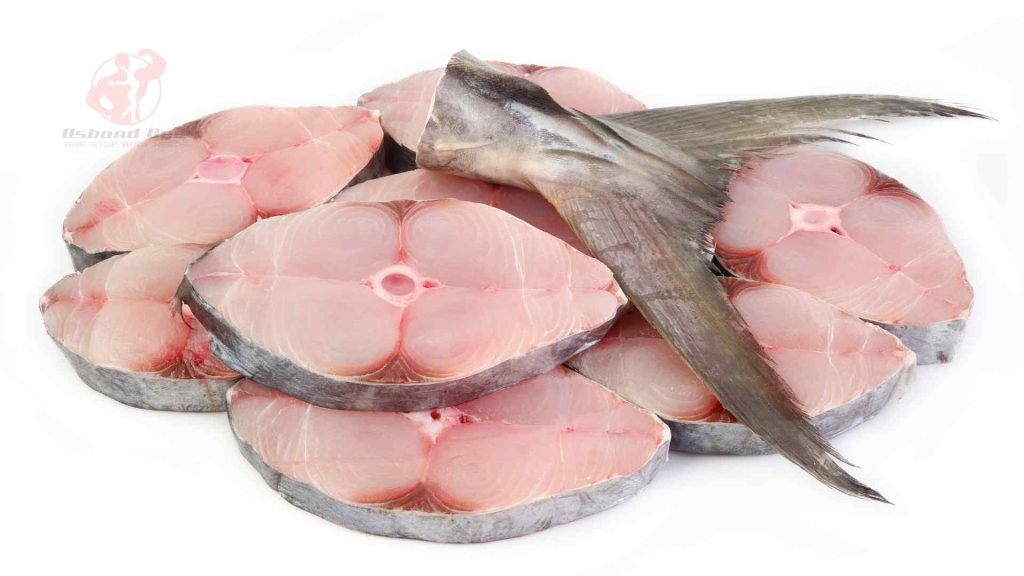 Protein Ikan